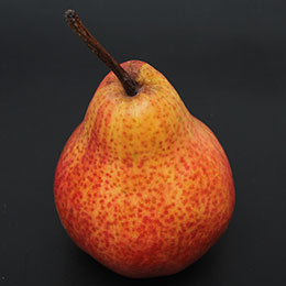 Pyrus William s Rouge